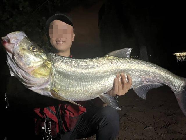 乐鱼-生态治理还是高价钓鱼？西昌邛海4000元钓鱼年卡引质疑 律师：如此收费无法律依据